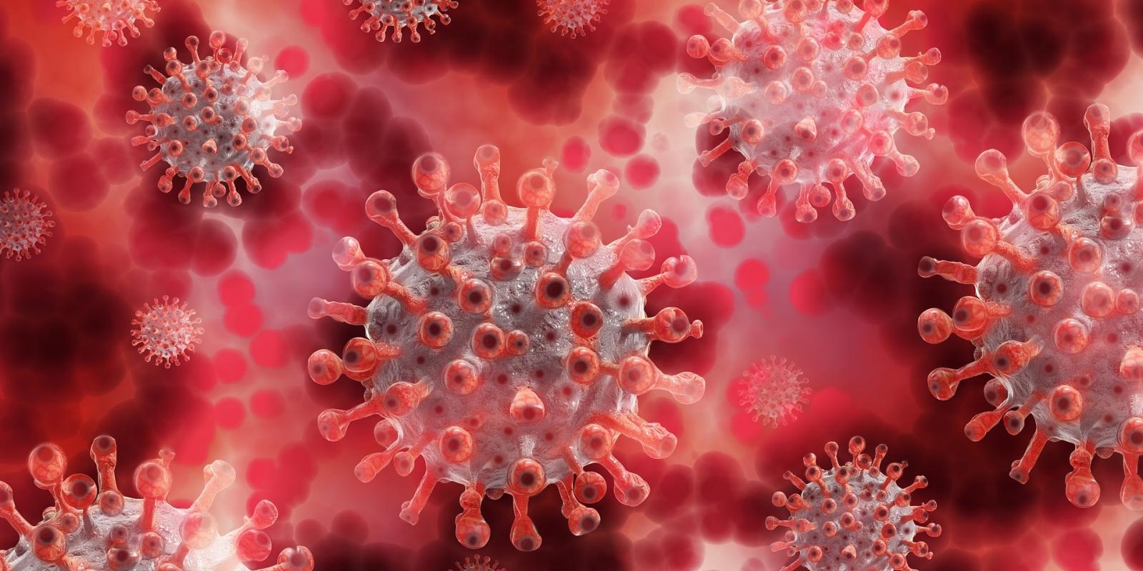 coronavirus : कोरोना से जोधपुर में एक युवक की मौत, 19 नए पॉजिटिव, 130 एक्टिव केस
