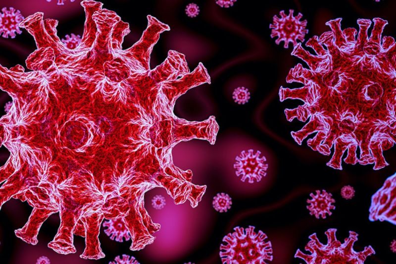 covid_in_gorakhpur.jpg Corona In Gorakhpur, Corona guidelines issued, active patients, increased, covid-19, gorakhpur news, gorakhpur today news, gorakhpur latest, गोरखपुर हिंदी न्यूज़, गोरखपुर समाचार