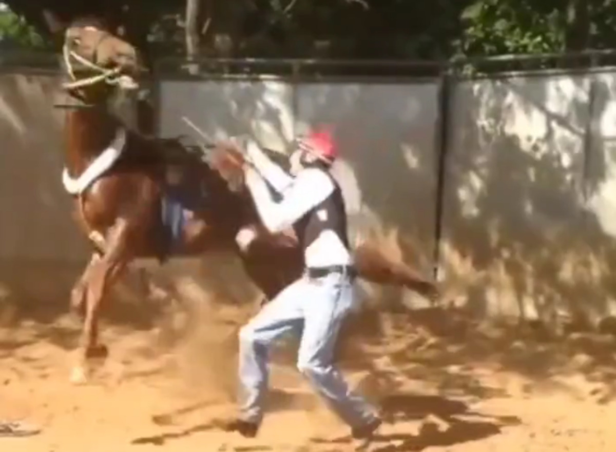 horse_kicks_back_a_guy.jpg