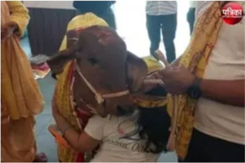 Lucknow Organic Restauran