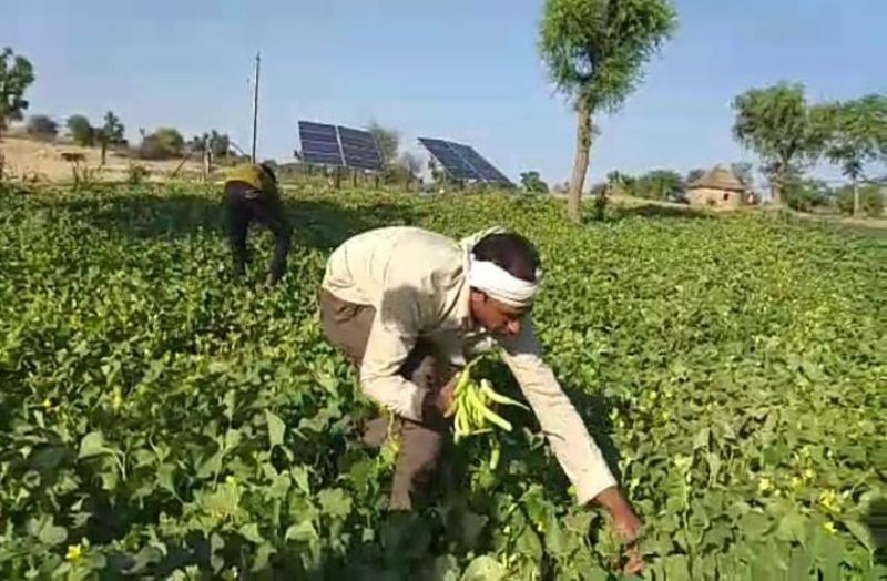 चूरू के इस किसान का ये नवाचार अपना कमा सकते है लाखों