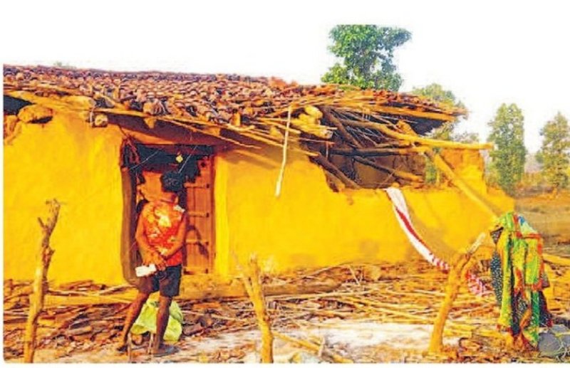 इस क्षेत्र में घूम रहा 20 हाथियों का दल, घरों व फसलों को कर रहा तबाह