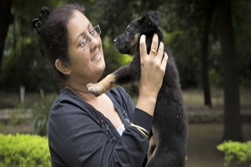 कुत्तों को लोग सुरक्षा के लिए पालते