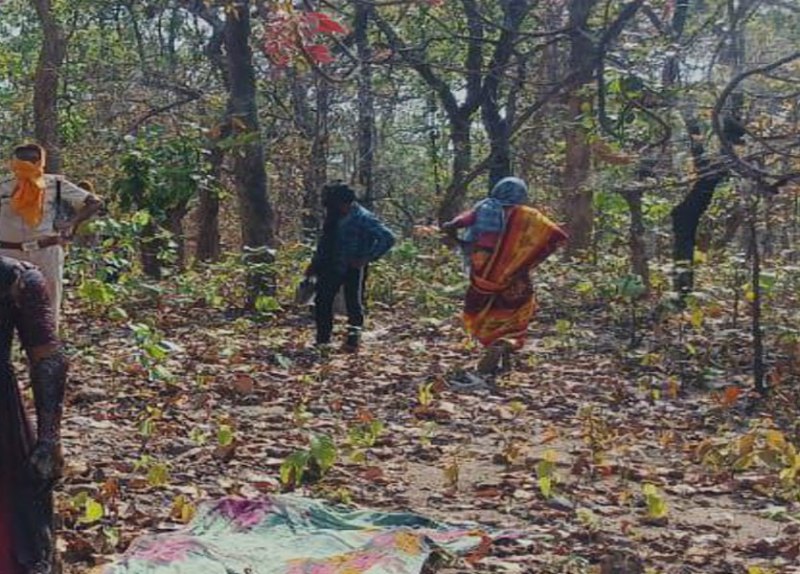 Newly marriage girl commits suicide