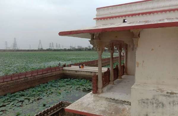 अभेड़ा महल: देखिए कैसे हो रही विरासत की अनदेखी