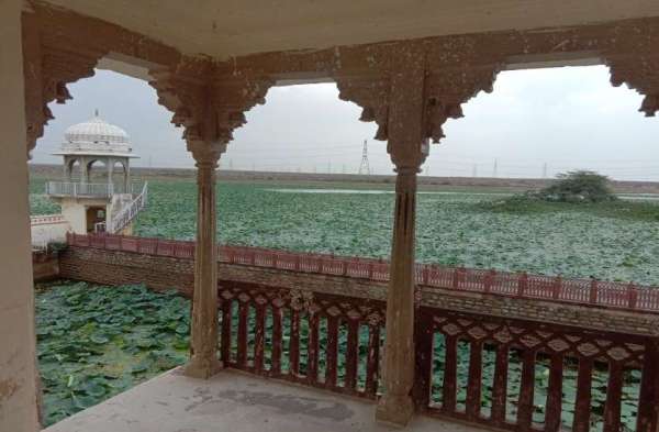 अभेड़ा महल: देखिए कैसे हो रही विरासत की अनदेखी