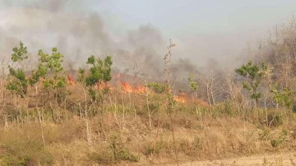 बांसवाड़ा. शुक्रवार दोपहर बांसवाड़ा-प्रतापगढ हाइवे के हिलेज वन क्षेत्र में आग लग गई। करीब दो किमी तक आग की लपटें उठती देखी गई। इससे कई क्षेत्र में पेड़ों एवं जानवरों के नुकसान की आशंका जताई जा रही है।