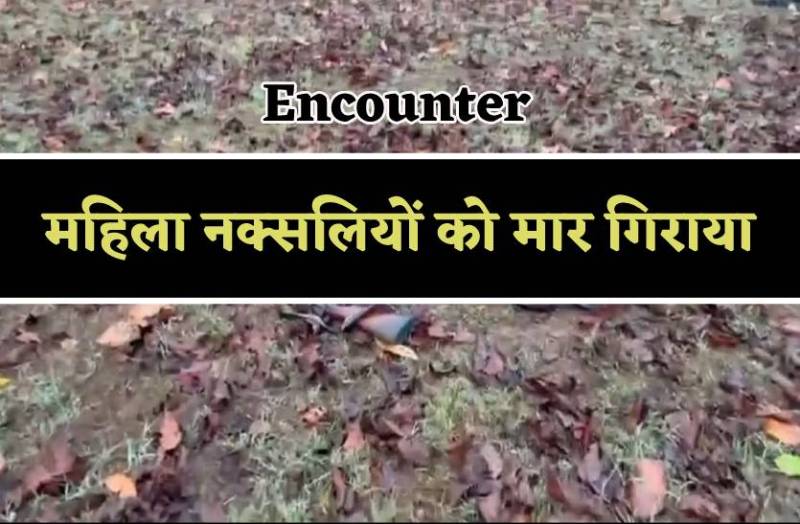 नक्सलियों और हॉक फोर्स के बीच मुठभेड़, एनकाउंटर में दो महिला नक्सलियों की मौत
