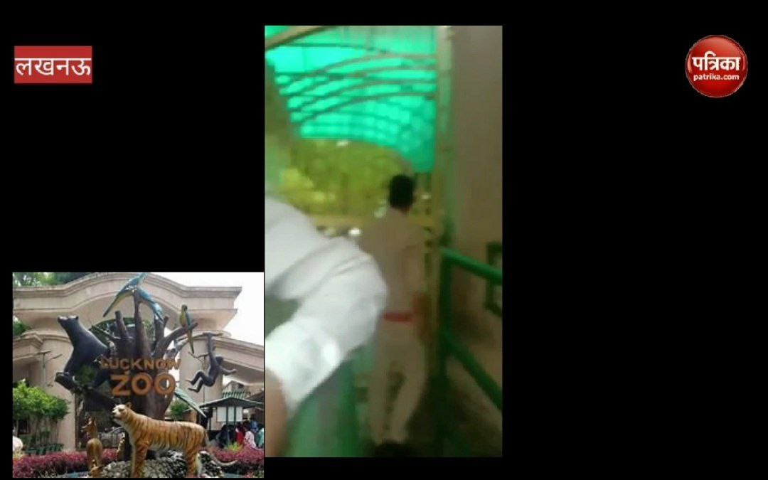 video: लखनऊ के चिड़ियाघर में हुई जमकर मारपीट