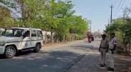 Thieves cut sandalwood tree from DJ bungalow