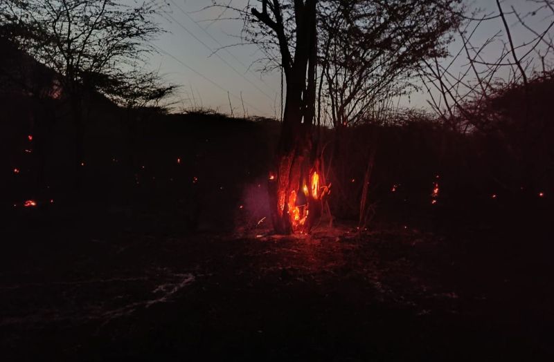 मामूली सी लापरवाही लील रही जंगलों को