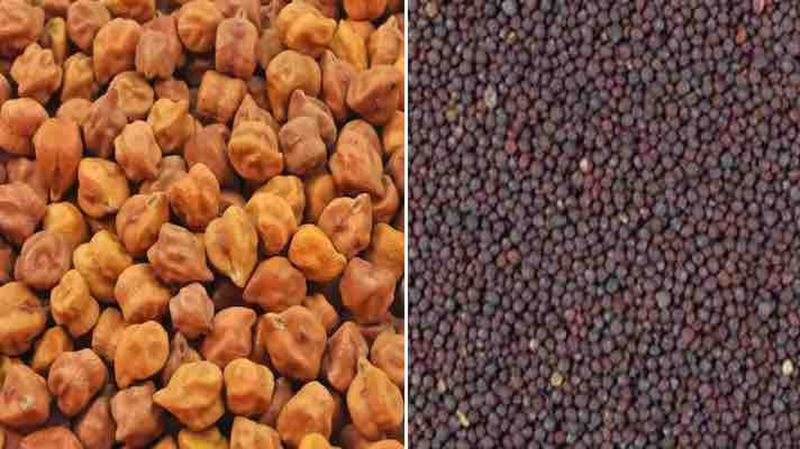 MSP: 42 में से केवल 1 केन्द्र पर ही शुरू हो सकी खरीद