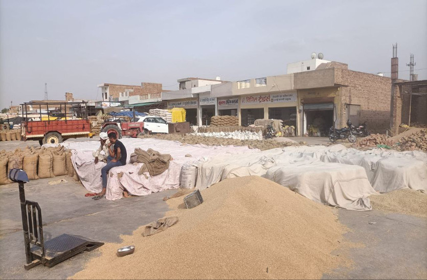 आखिर शुरू हुई गेहूं खरीद लेकिन ऑनलाइन प्रक्रिया बनी जी का जंजाल