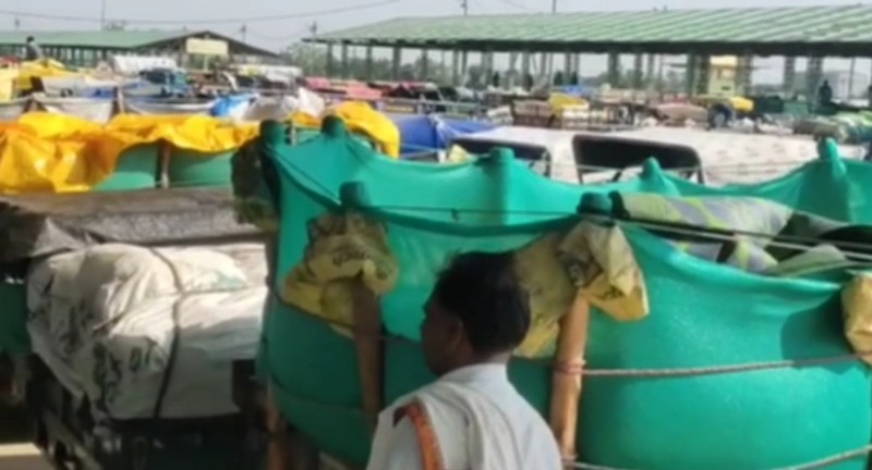 अच्छी आवक से मंडी हुई मालामाल, मंडी शुल्क में 17 करोड़ 24 लाख की हुई आय