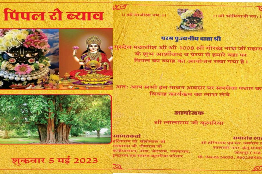 अनूठा गांव जहां होता है पेड़ों का विवाह ,ग्रामीण बांट रहे हैं विवाह का निमंत्रण पत्र
