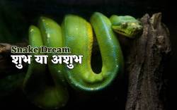 Snake Dream interpretation: सपने में सांप को काटते देखना शुभ या अशुभ, जानें आपके
सपने का मतलब - image