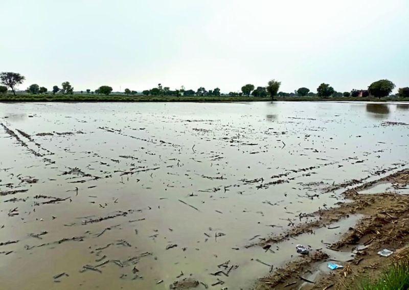 भरतपुर में मौसम पलटा, धूप-छांव व ठंडी हवा के बीच गुजरा दिन