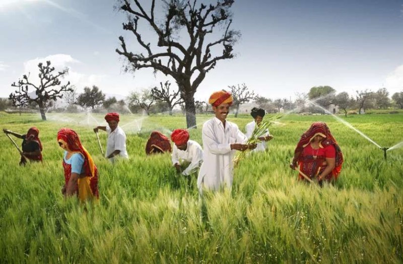 rajasthan gehlot government grant to farmers on green house install