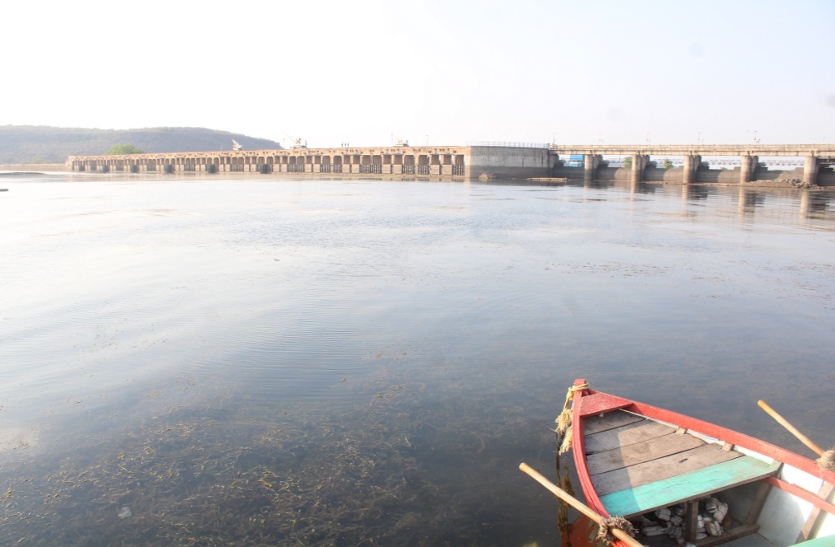 tigra dam gwalior water level