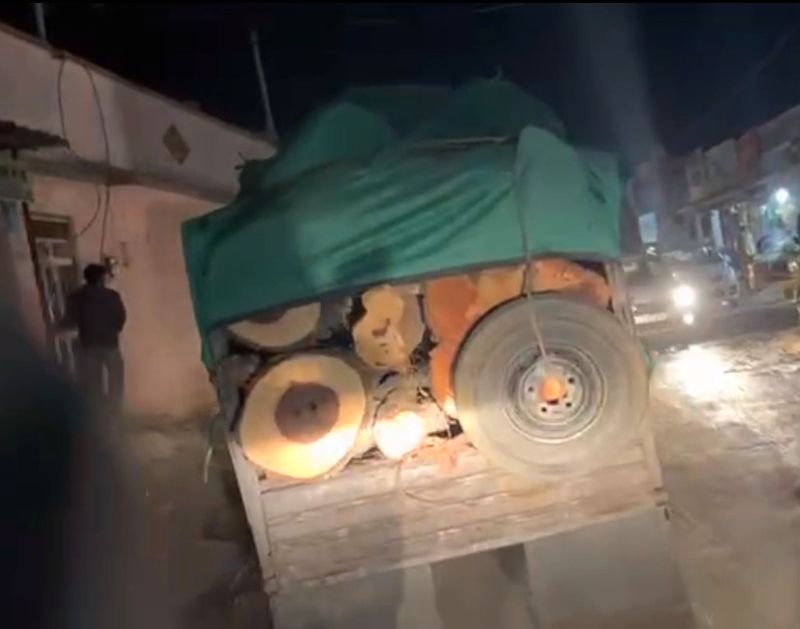 तस्करी का खेल : लकड़ियां ले जाते हैं हरियाणा, वहां से पेट्रोल-डीजल और ट्रांसफार्मर लाते हैं