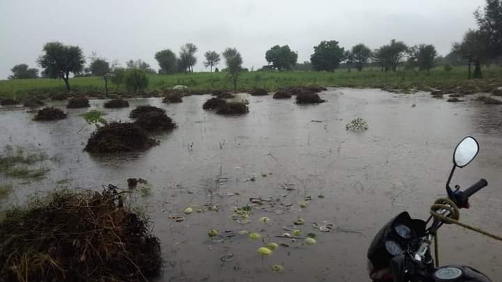 वर्ष 2021 में अतिवृष्टि से इस प्रकार खराब हुए थे मूंग