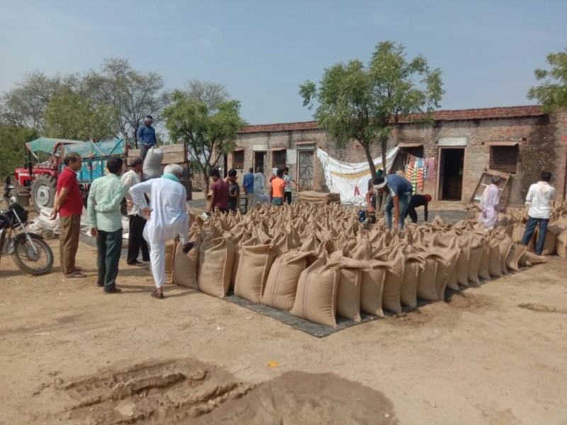 समर्थन मूल्य पर 1200 क्विंटल चना व 380 क्विंटल सरसों की खरीद, किसान यूनियन ने की टोकन संख्या बढ़ाने की मांग
