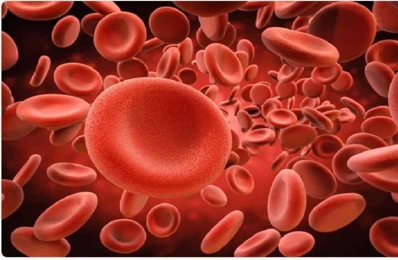 थेलीमीसिया दिवस : 35 बच्चों को हर माह 2 बार खून चढ़ाने से मिली आजादी, 15 और हुए ठीक