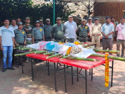 Short video poster image