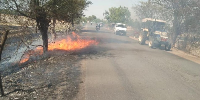खेत की नरवाई में लगी आग सड़क तक पहुंची, यातायात प्रभावित