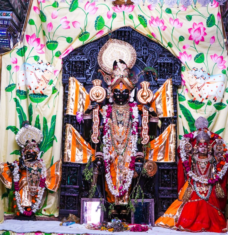 Video...जगदीश मंदिर की उपेक्षा को लेकर सर्व समाज ने ज्ञापन दिया