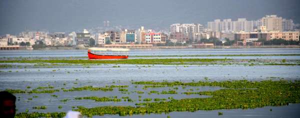 Collector on action mode...Inspection of water hyacinth in aanasagar