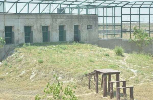 अच्छी पहल : डॉ. गुल्हाने ने समाजसेवी संग वन्यजीवों को गर्मी से बचाने के किए इंतजाम