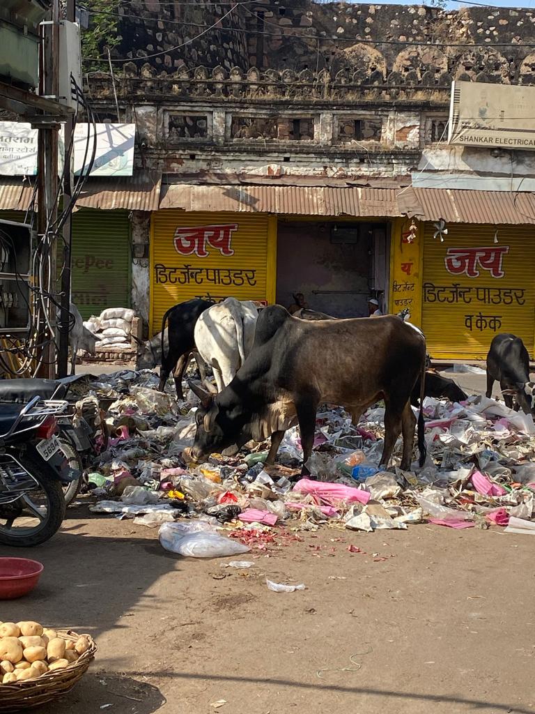 अंधेरे में डूबे रास्ते, कचरा भी नहीं उठ रहा, हैंडपंप से बुझ रही प्यास