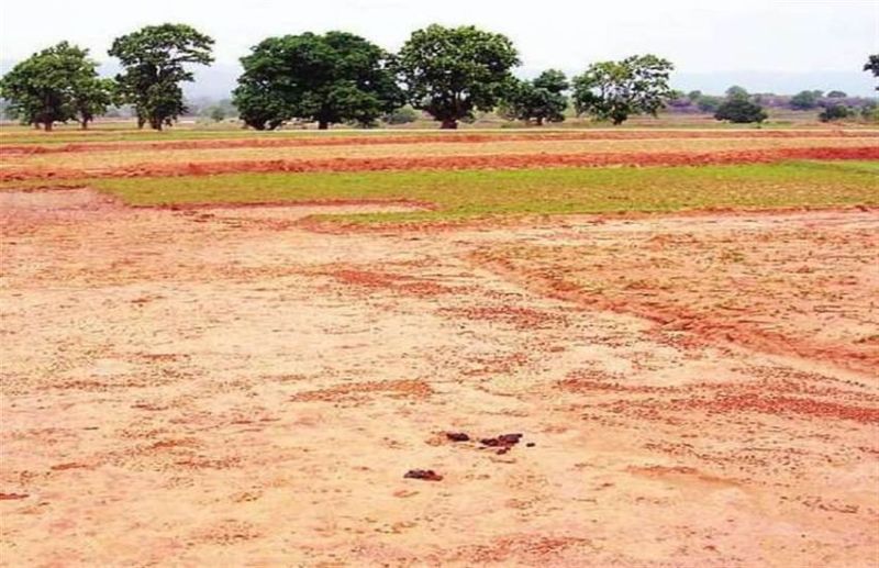 खजराना में 15 एकड़ जमीन रिकॉर्ड से गायब, मद्दा ने दबाई त्रिशला की जमीन