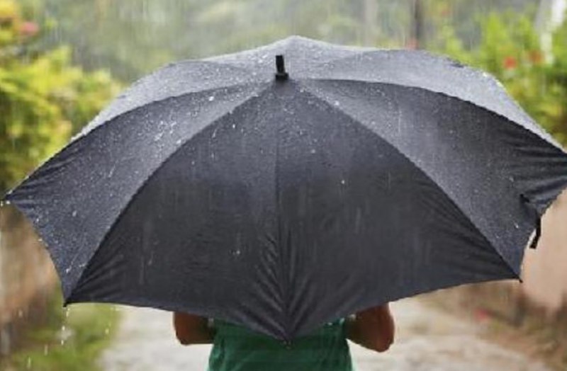 Latest Weather Forecast Heavy Rain Alert In 50 District
