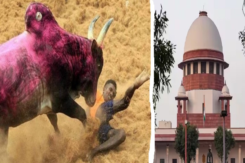 supreme_court_jallikattu.jpg
