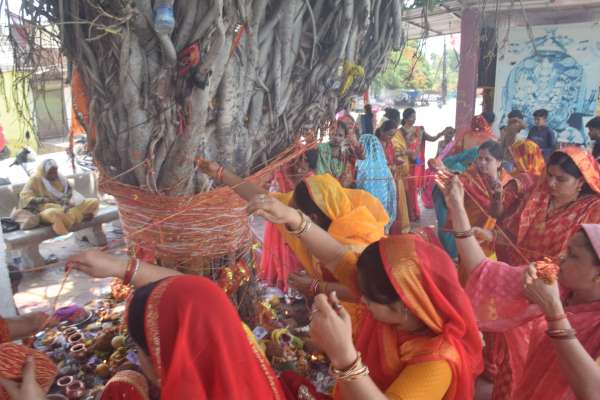 भारतीय स्ॉस्क्रति मे पर्यावरण प्रेम की झलक 