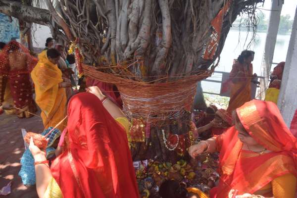 भारतीय स्ॉस्क्रति मे पर्यावरण प्रेम की झलक 