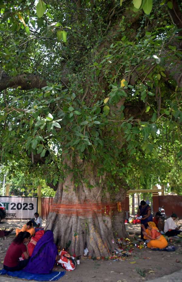 भारतीय स्ॉस्क्रति मे पर्यावरण प्रेम की झलक 