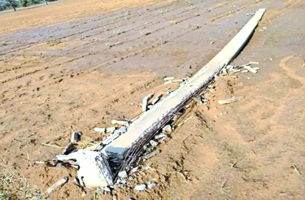 Patrika Photo Gallery: -  रात को बहुत तेज आया अधड़:, उखड़े पेड़, गिरे खम्भे, बिजली हो गई गुल