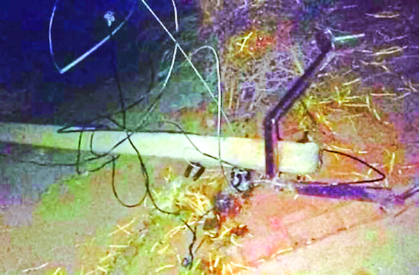 Patrika Photo Gallery: -  रात को बहुत तेज आया अधड़:, उखड़े पेड़, गिरे खम्भे, बिजली हो गई गुल