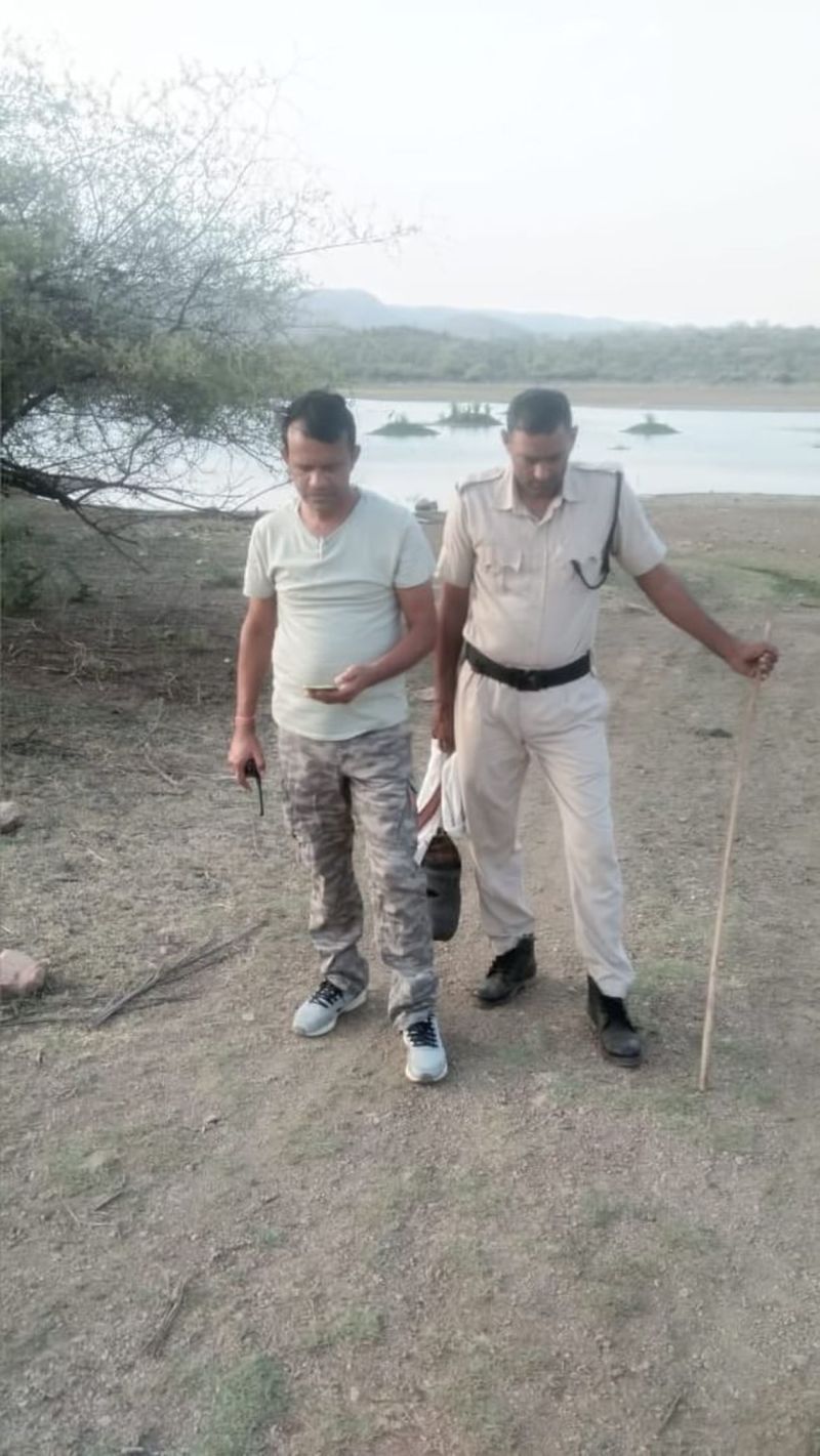 सरिस्का बाघ परियोजना में वन्यजीवों की गणना प्रारंभ