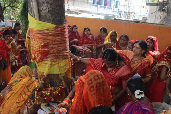Women worshiped Vat Savitri 
