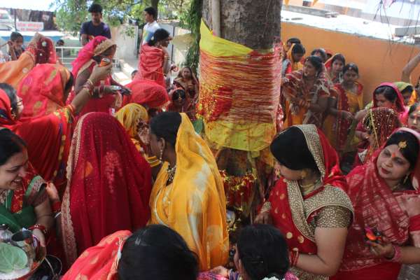 Women worshiped Vat Savitri 