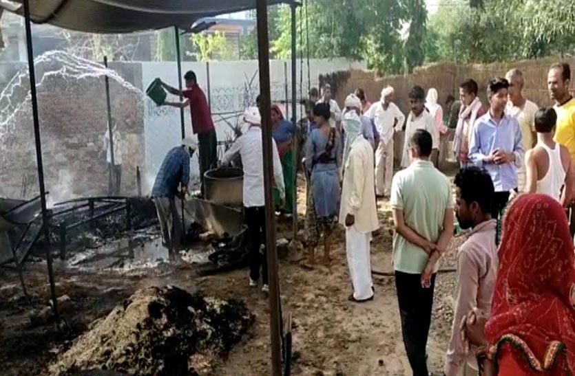 Video: आग से भैंस व बछड़े की जलने से मौत