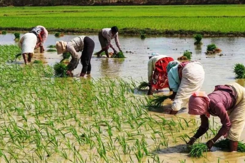 UP Weather update; Monsoon rains reduce in these parts of UP