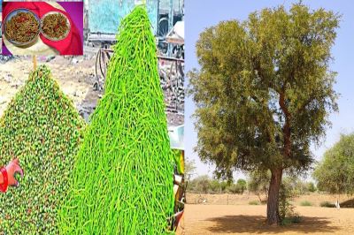 ker_sangri.png