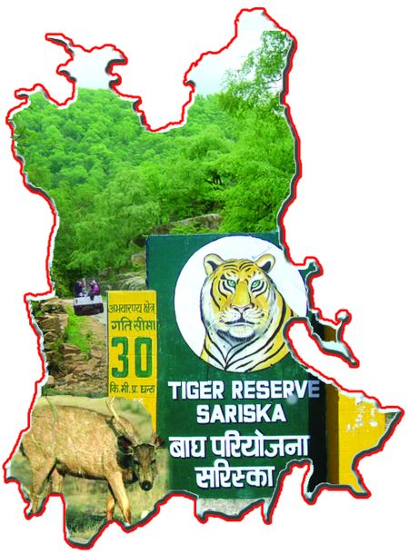 सरिस्का में बाघों पर प्रदूषण का खतरा, इलेक्टि्रक बस चलाओ