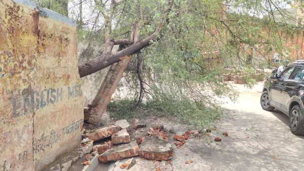 वहीं चौगान स्टेडियम गणगौरी बाजार में पेड़ गिरने से दीवार टूट गई।