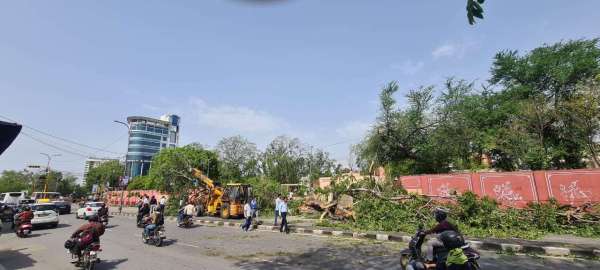 राजधानी जयपुर में कई जगह सड़कों पर धराशाही पेड़ नजर आए। जेएलएन रोड स्थित गर्वमेंट हॉस्टल के बाहर सड़क पर पेड़ गिर गया।